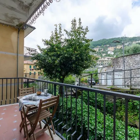 Altido Castagneto A Camogli